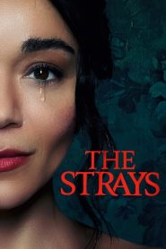 The Strays (2023) คนหลงทาง