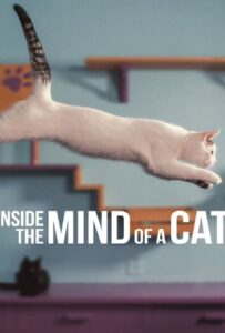 ดูหนังออนไลน์ฟรี Inside the Mind of a Cat (2022)